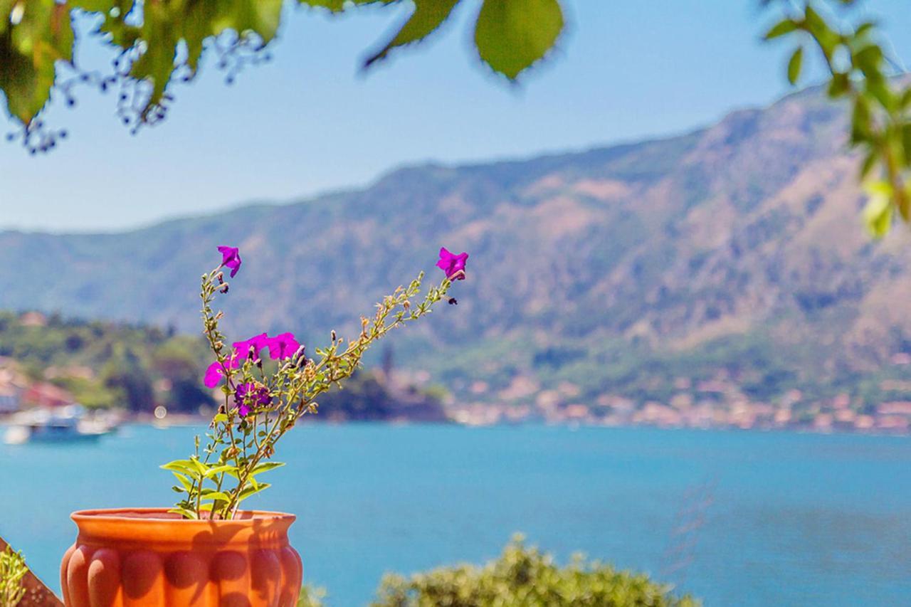 Villa Donkovic Kotor Zewnętrze zdjęcie