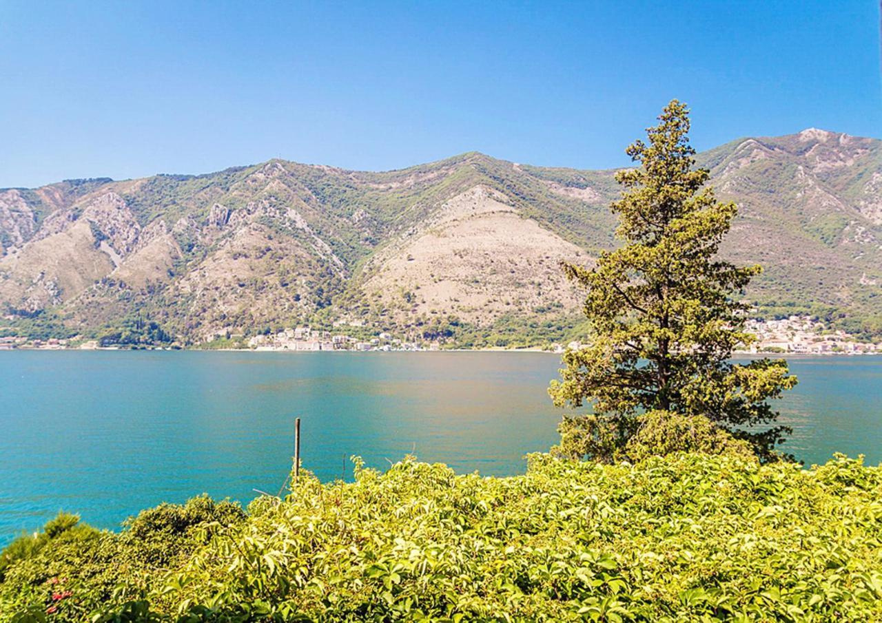 Villa Donkovic Kotor Zewnętrze zdjęcie