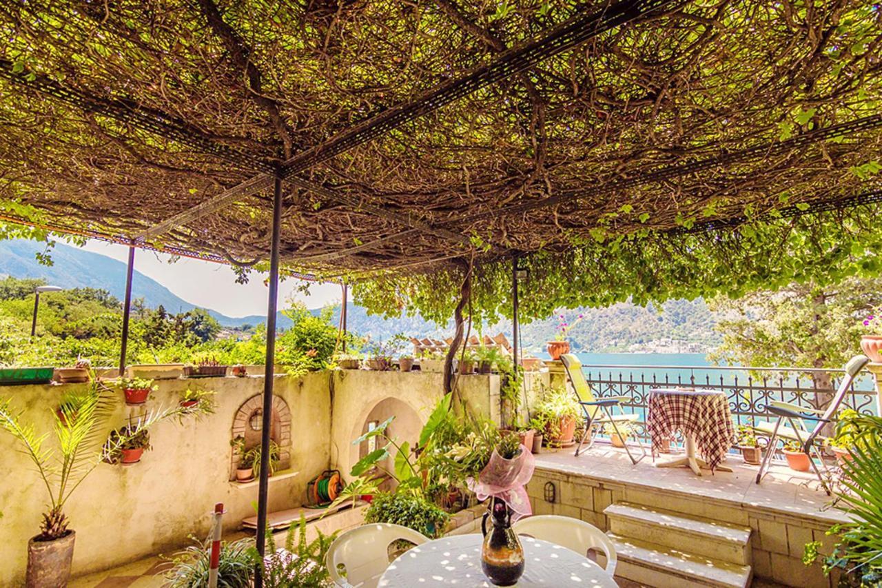 Villa Donkovic Kotor Zewnętrze zdjęcie